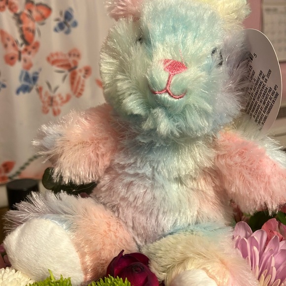 FRIENDS Pastel Plush Stuffed Animal - Picture 1 of 5